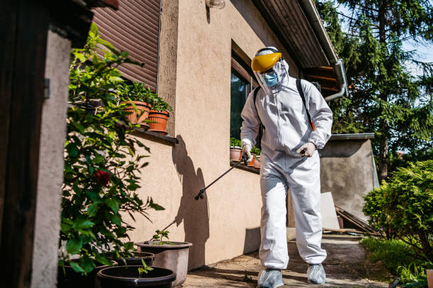 Best Best Pest Control Companies  in Cedar Hills, UT