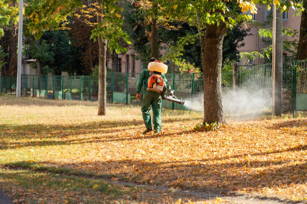 Best Insect Control  in Cedar Hills, UT