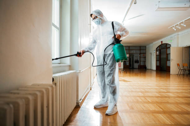 Best Affordable Pest Control Services  in Cedar Hills, UT